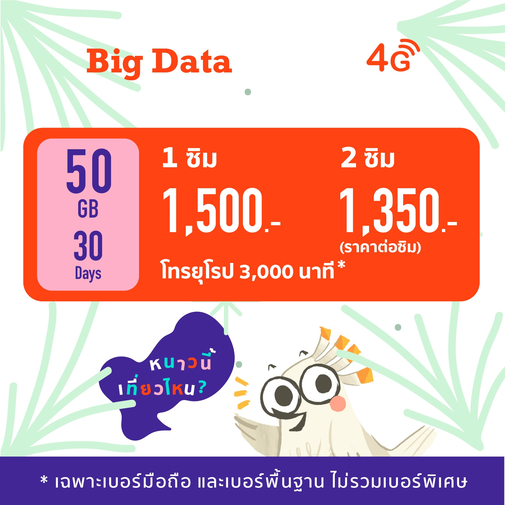 Europe Big Data 20 GB SIM