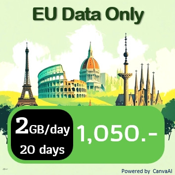 Big Data